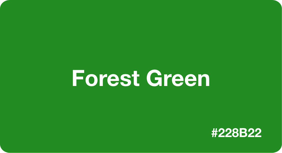 Forest Green Best Practices, Color Codes, Palettes & More!